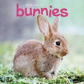 Bunnies Mini Kalender 2019