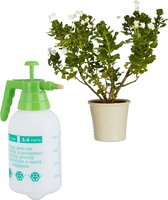 relaxdays plantenspuit 1.5 liter - messing tuit - drukspuit - waterspuit met drukpomp - PE