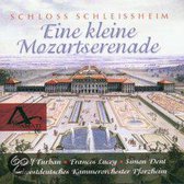 Eine Kleine  Mozartserenade: Schloss