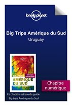 Big Trips Amérique du Sud - Uruguay