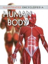 Human Body