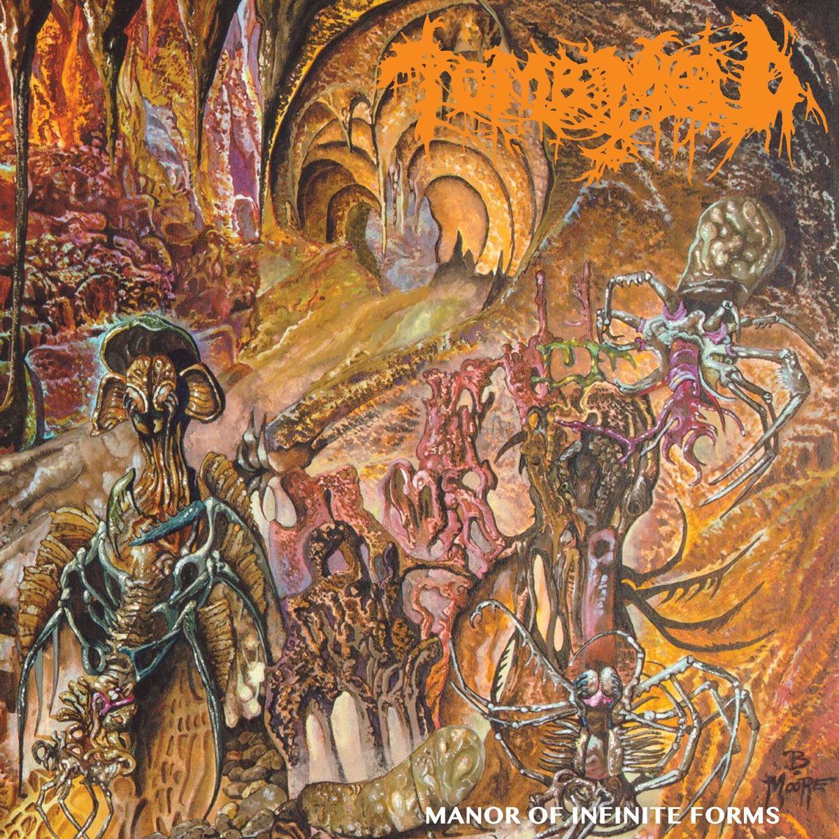 Manor Of Infinite Forms (LP)