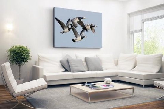 Quatre oies dans l'air Toile 120x80 cm - Tirage photo sur toile (Décoration murale salon / chambre) / Peintures sur toile Animaux