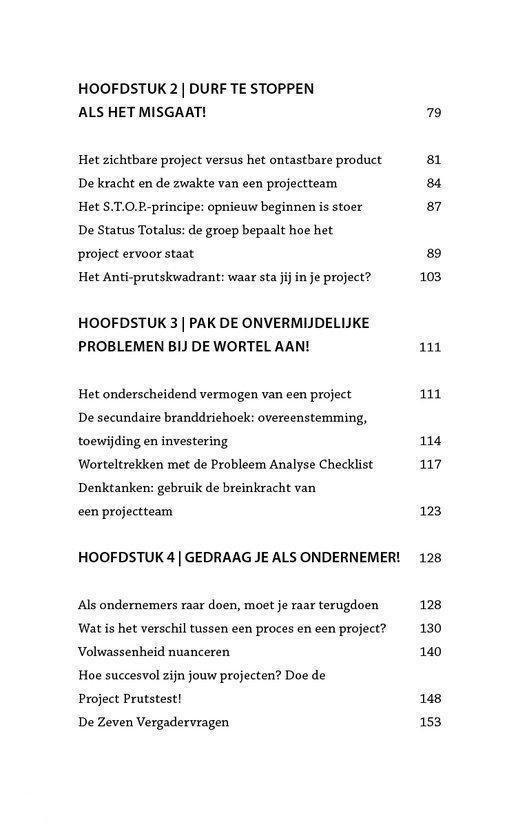 Het perfecte project