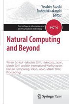 Natural Computing and Beyond