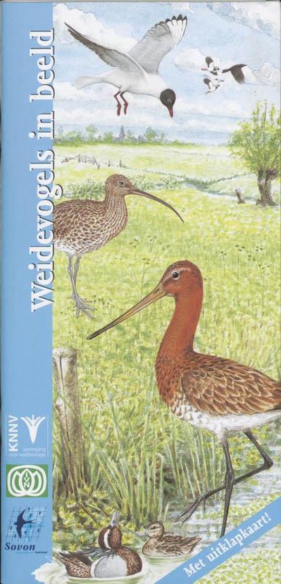 Cover van het boek 'Weidevogels in beeld' van J. van Gelderen
