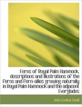 Ferns of Royal Palm Hammock, Descriptions and Illustrations of the Ferns and Fern-Allies Growing Nat