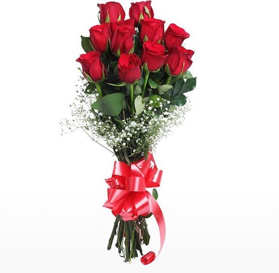 10 Rozen, Verjaardag Moederdag Valentijn Dag Cadeau Liefde