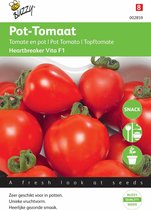 Buzzy zaden - Tomaten - Heartbreaker Vita F1 10 zaden