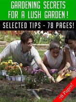 Gardening Secrets For A Lush Garden!