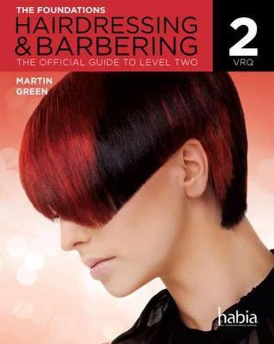 Hairdressing & Barbering the Foundations, Level 2 VRQ 9781408071113