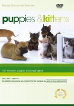 Puppies & Kittens DVD