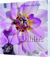 Dahlia'S