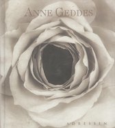 Adressen Anne Geddes