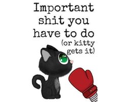 Important Shit You Have to Do