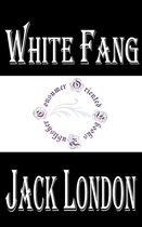 Jack London Books - White Fang