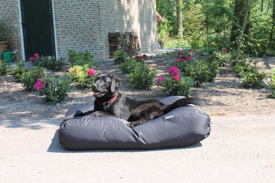 Dog's Companion - Hondenkussen / Hondenbed zwart vuilafstotende coating - M - 90x70cm