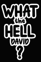 What the Hell David?