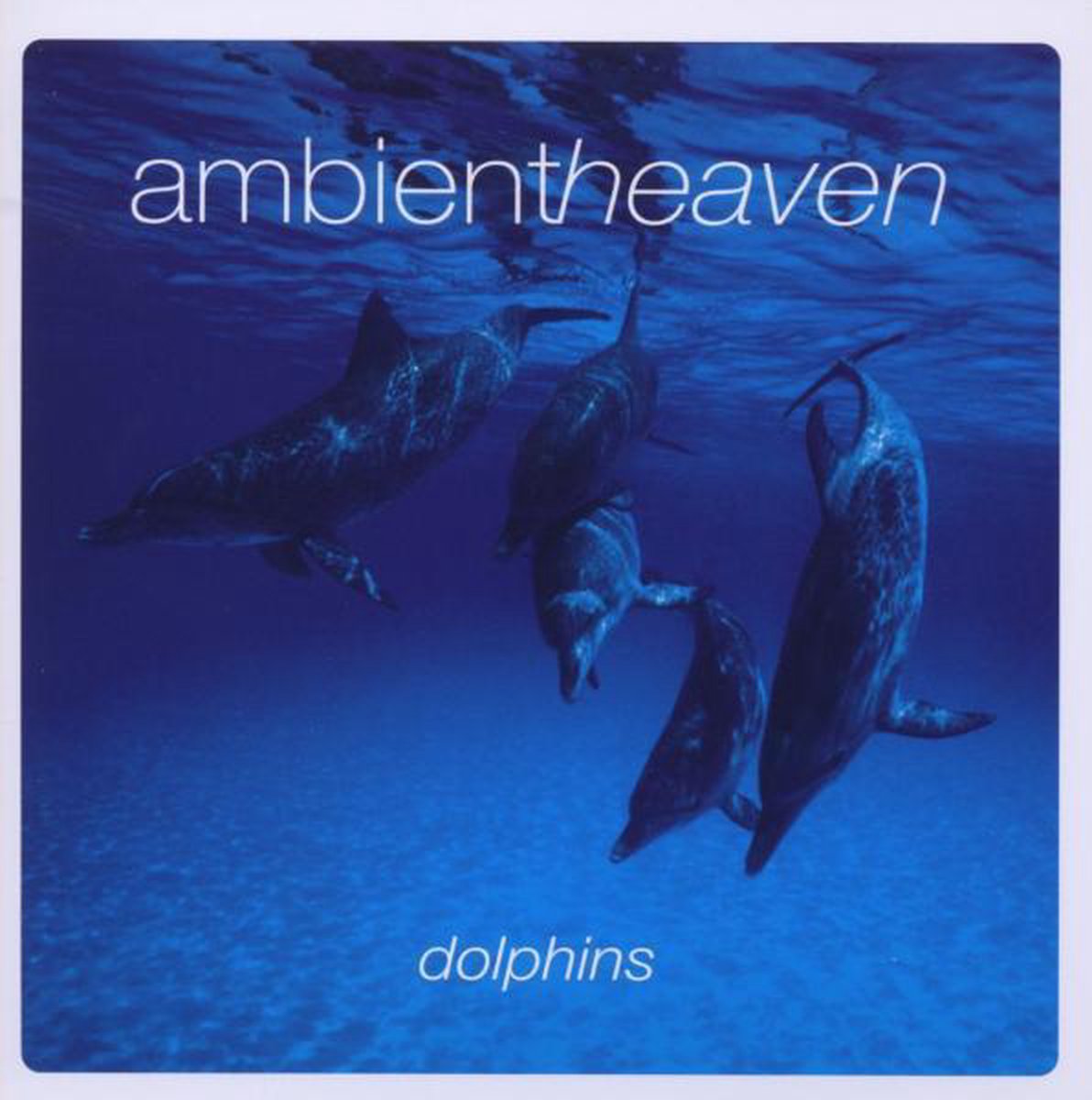 Sound Effects Dolphins - Ambientheaven Dolphins