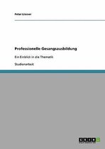 Professionelle Gesangsausbildung