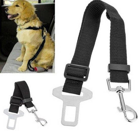 Ceinture de voiture en laisse pour chien - Sûr sur la route - Ceinture de  Riem de