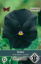 Van Hemert & Co - Viool Black Crystal (Viola x Wittrockiana)