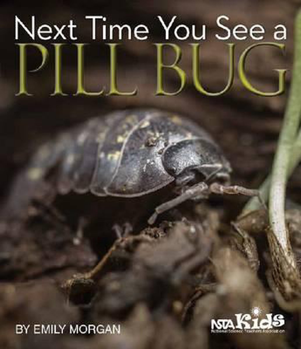 Bol Com Next Time You See A Pill Bug Emily Morgan Boeken