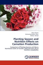 Planting Season and Nutrition Effects on Carnation Production