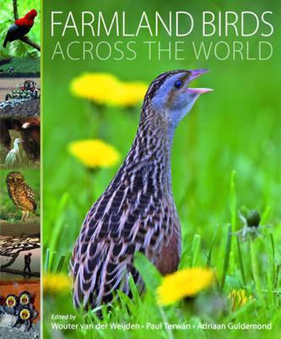 Farmland Birds Across the World - cover