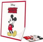 Disney Mickey Mouse Classic - Zijdezacht plaid - 130 x 160 cm - Multi