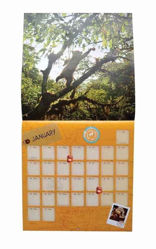 Paddington Kalender 2017 Portico |
