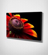 Multicolored Flower Canvas - 60 x 40 cm - Bloemen - Schilderij - Canvas - Slaapkamer - Wanddecoratie  - Slaapkamer - Foto op canvas