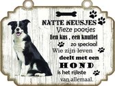 Spreukenbordje hond: Bordercollie