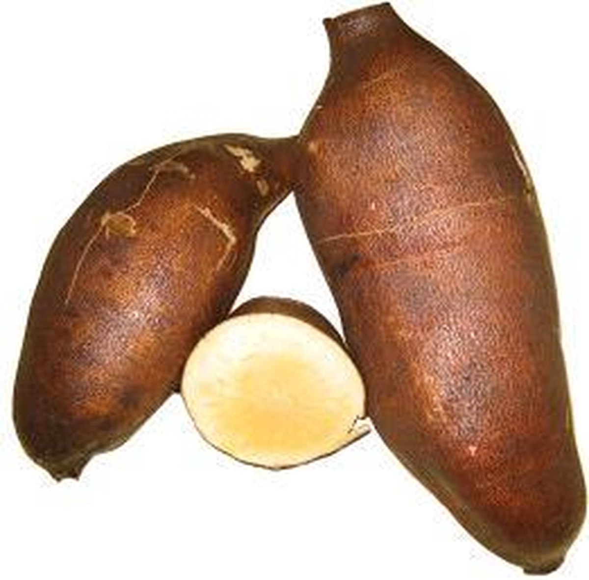 Yacon powder | bol.com