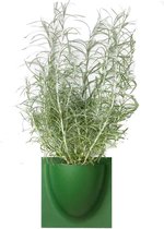 Verti Copenhagen wandpot Vertiplants |Mini blad groen 15 x15 cm