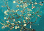 Vincent van Gogh poster - Amandelbloesem - Almond Blossom - kunst - 50 x 70 cm