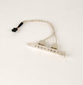 Gembird CCUSBRECEPTACLE kabeladapter/verloopstukje 10-pin 2 x USB 2.0 Grijs, Metallic