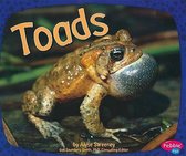 Toads (Amphibians)