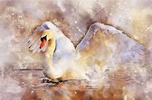 DP® Diamond Painting pakket volwassenen - Afbeelding: Aquarel Zwaan - 50 x 75 cm volledige bedekking, vierkante steentjes - 100% Nederlandse productie! - Cat.: Dieren - Vogels