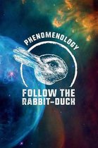 Phenomenology - Follow the Rabbit-Duck