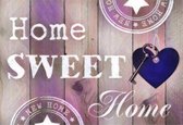 Diamond Painting - Home Sweet Home 30x20 Licht Roze - Vierkant  - Dotz - Volledig - SEOS Shop ®