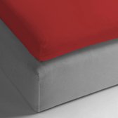 HnL Living - Hoeslaken - Topper - Katoen Perkal - 160 x 210 cm - Rood