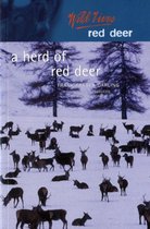 A Herd of Red Deer