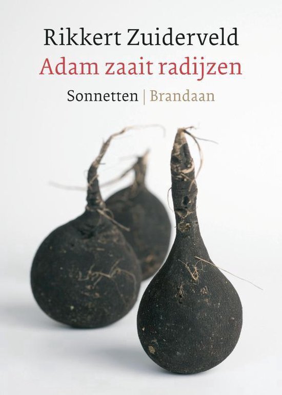 Cover van het boek 'Adam zaait radijzen'