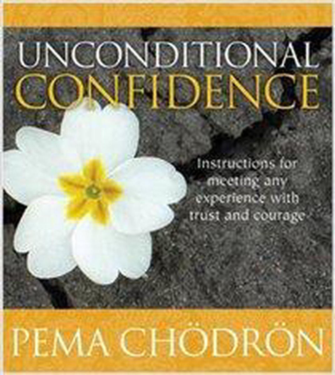 Unconditional Confidence - Pema Chodron