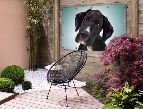 Affiche de jardin chien doux noir et blanc 200x100 cm - Toile de jardin / Toile d'extérieur / Peintures d'extérieur (décoration de jardin) XXL / Groot format!