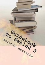 Guidebook to Seblod 3