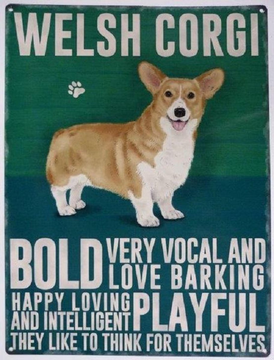 Wandbord - Welsh Corgi -30x40cm-