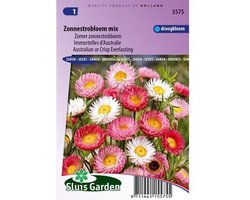 Sluis Garden - Zonnestrobloem gemengd (Helipterum/Acroclinium)