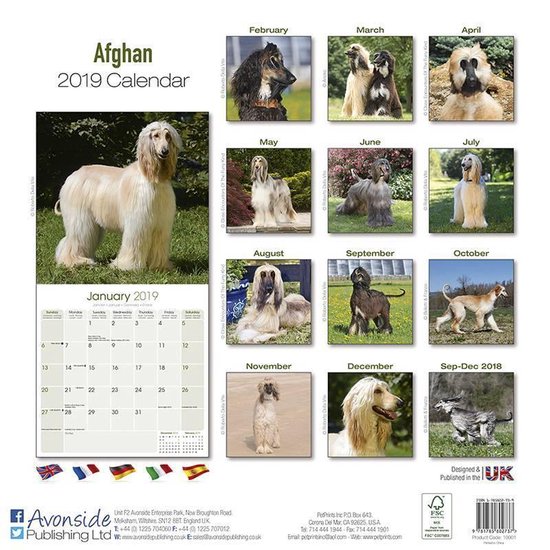 Afghan - Afghanen 2023' - 'Hunde' - Orell Füssli